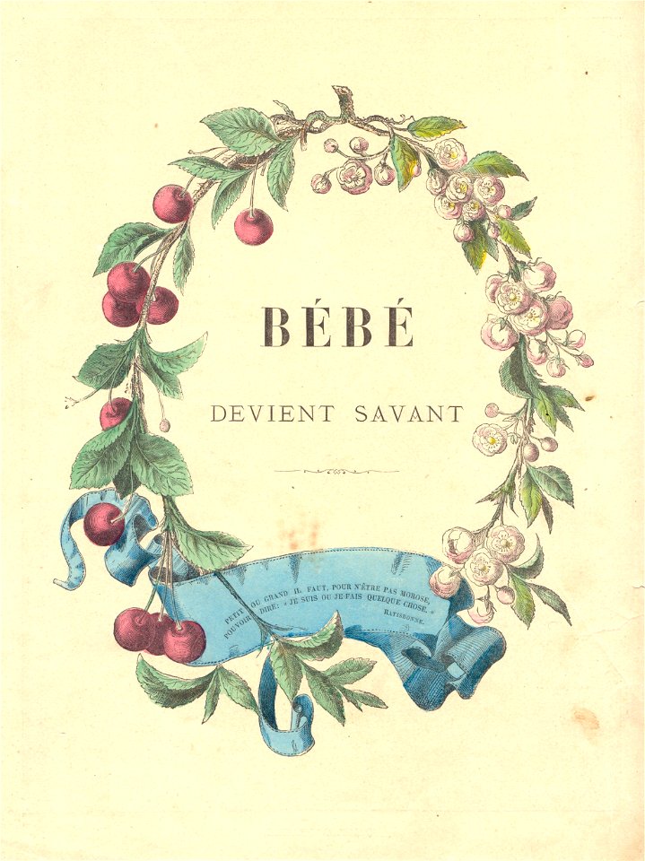 bb savant 4