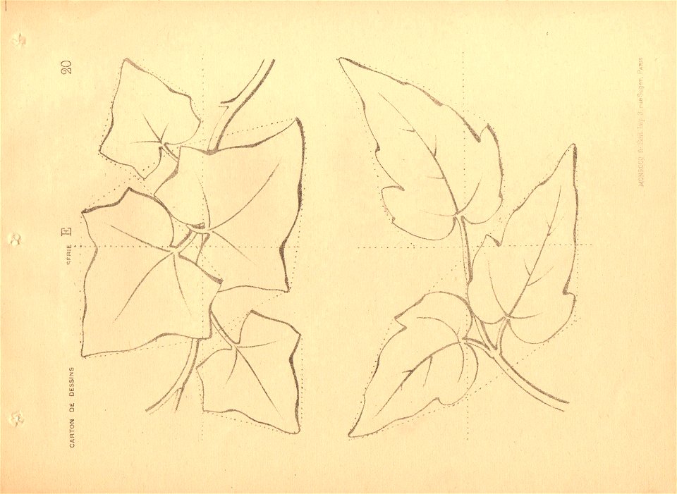 dessin ornement 9