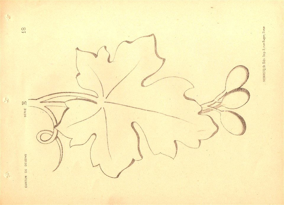 dessin ornement 8