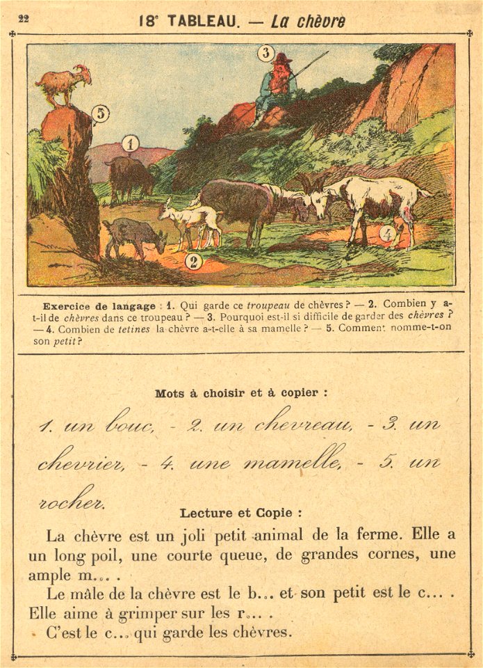 vocab 18 chevre