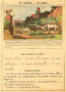vocab 18 chevre