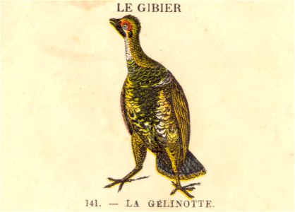casino gibier 5