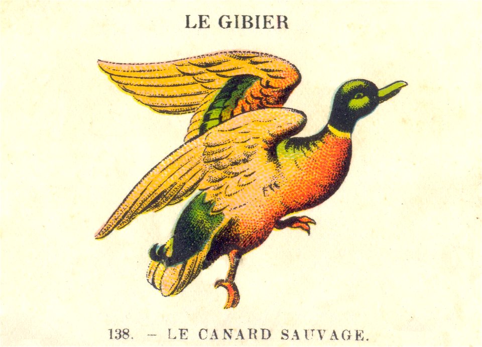 casino gibier 9