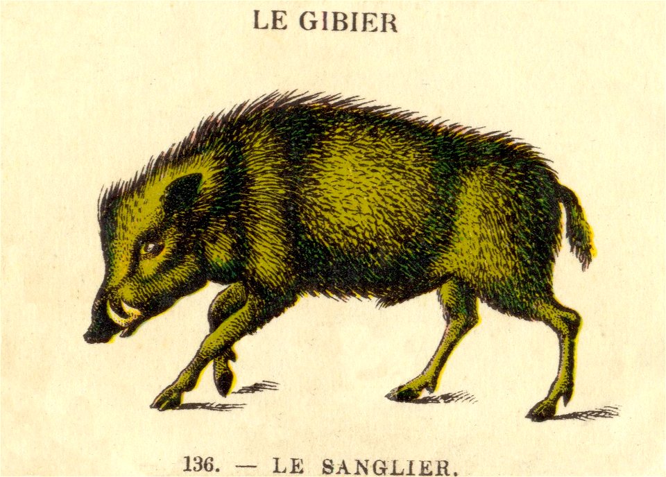 casino gibier 7
