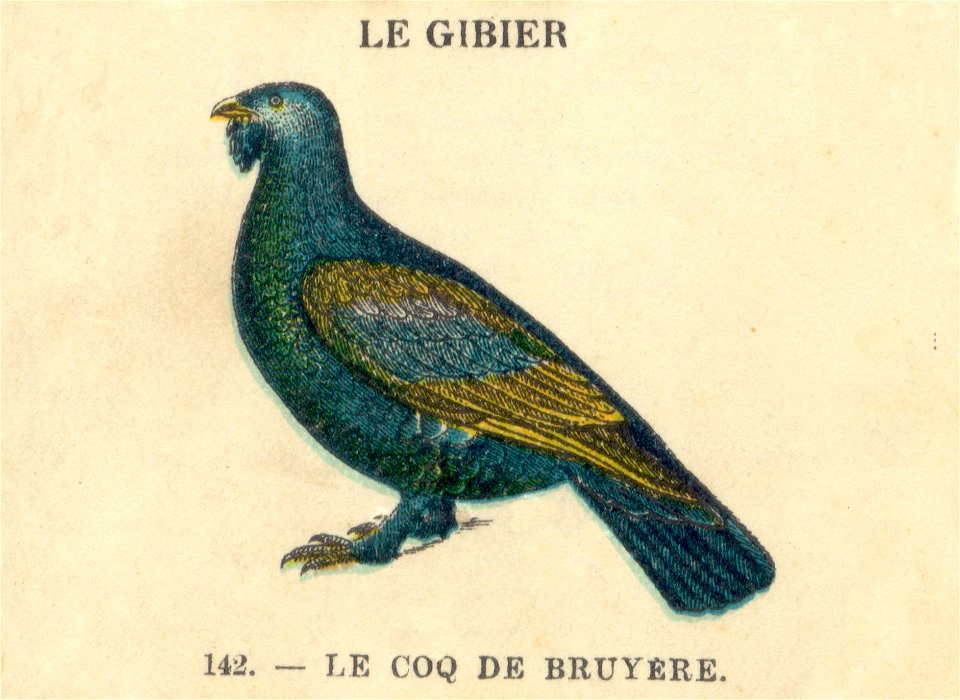 casino gibier 10