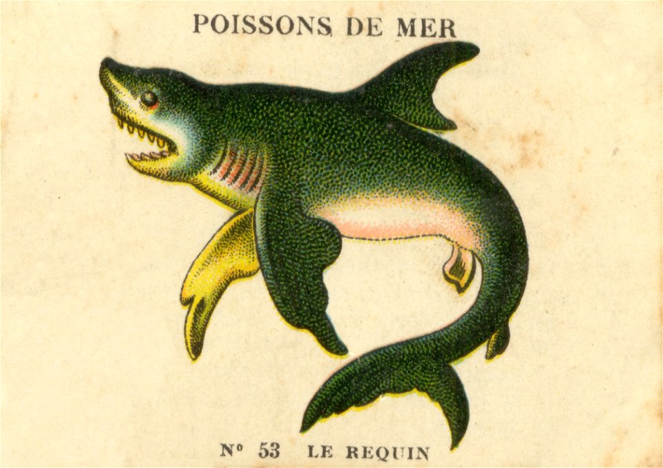 casino poissons 6