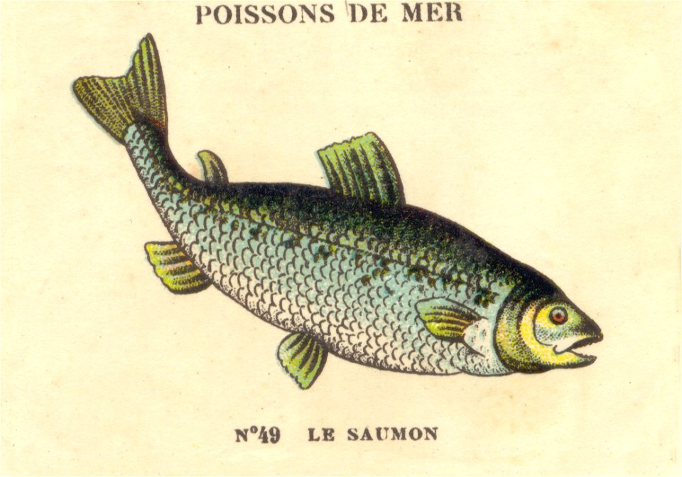casino poissons 12
