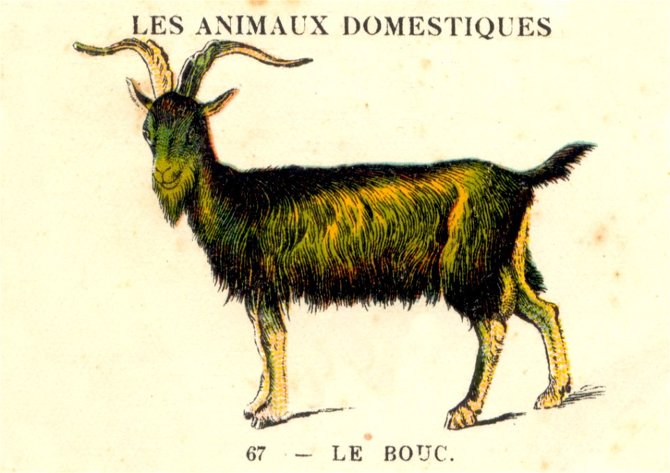 casino bouc