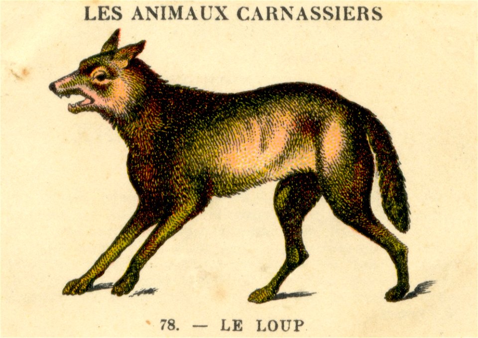 casino loup