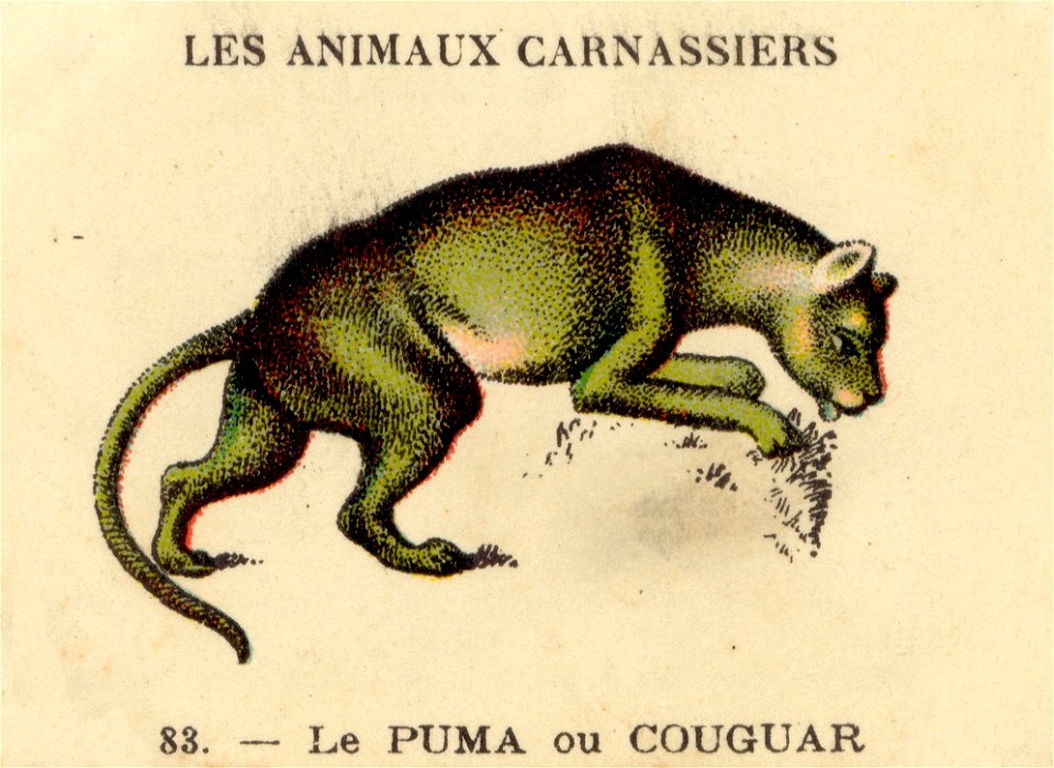 casino puma