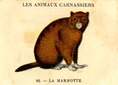 casino marmotte