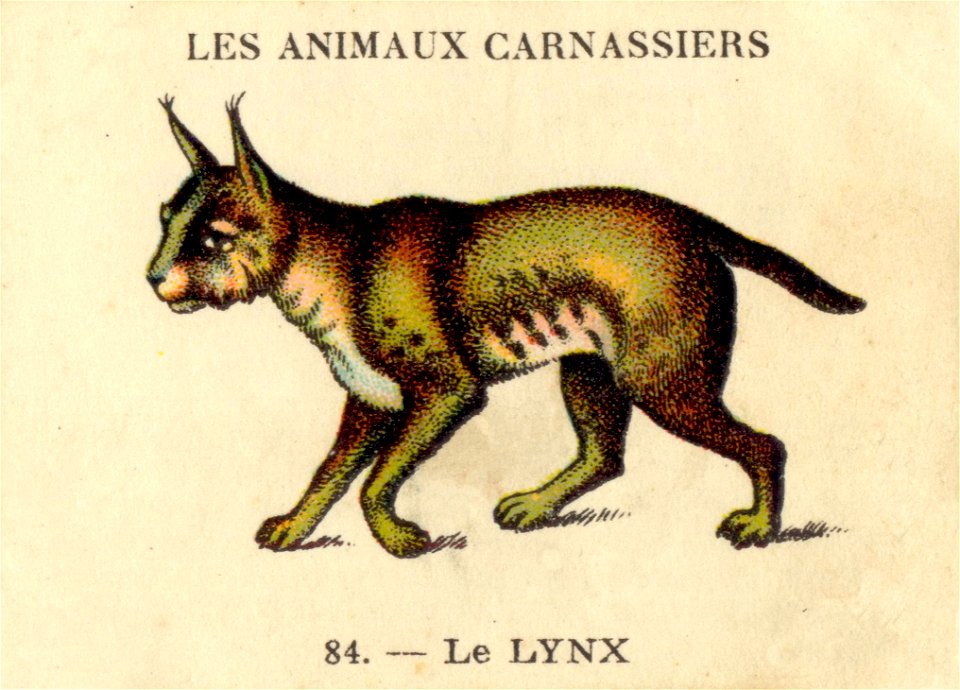 casino lynx