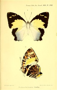 n668_w1150