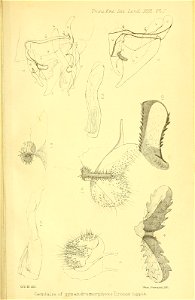 n624_w1150