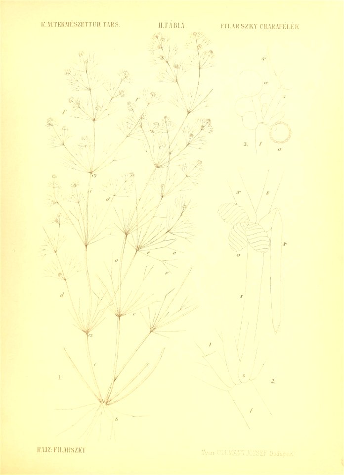 n148_w1150