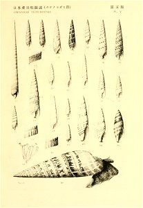 n66_w1150