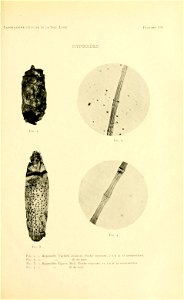 n178_w1150