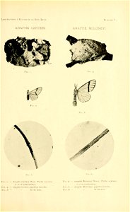 n168_w1150
