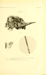 n164_w1150