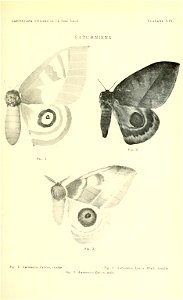 n220_w1150
