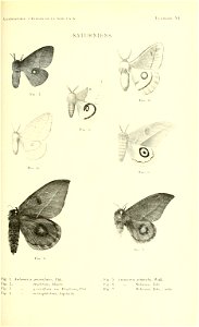 n174_w1150