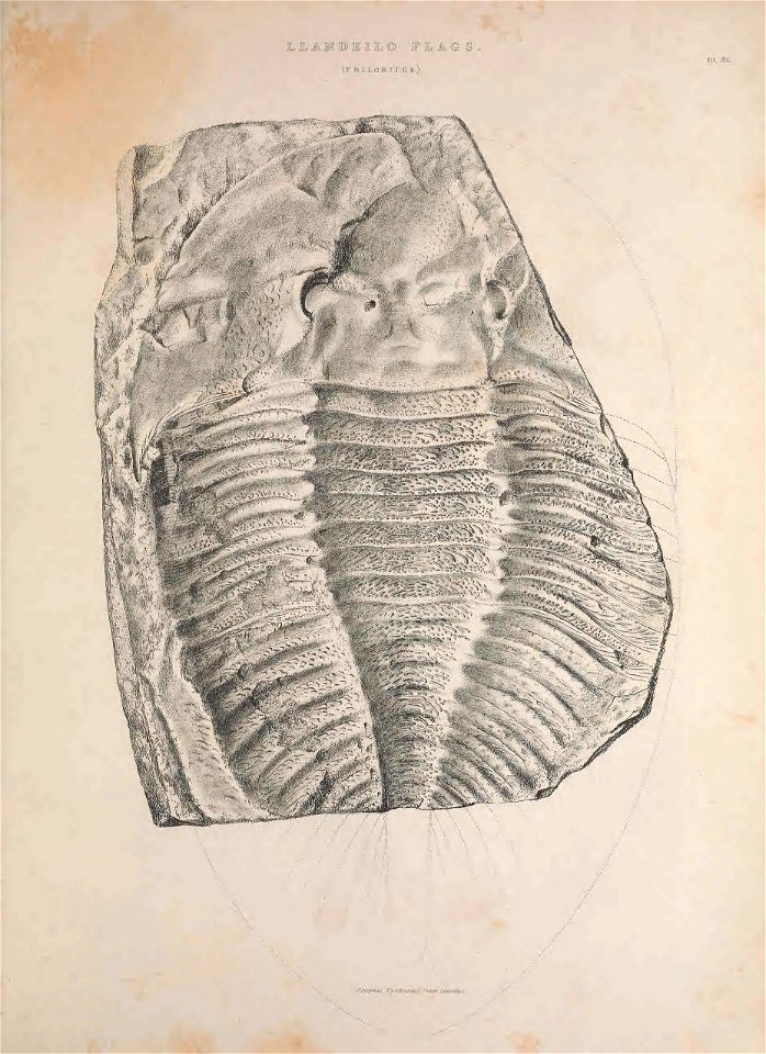 n254_w1150