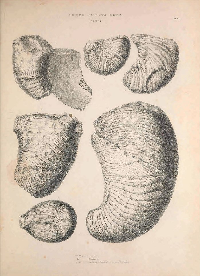 n222_w1150