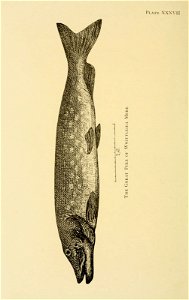 n383_w1150