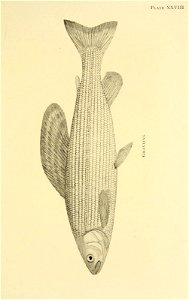 n192_w1150
