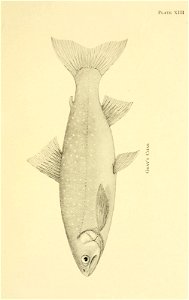 n160_w1150