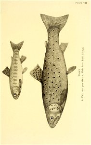 n108_w1150