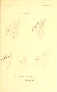 n216_w1150