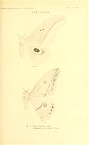 n172_w1150