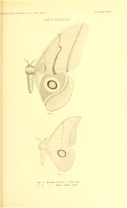 n166_w1150