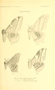 n182_w1150