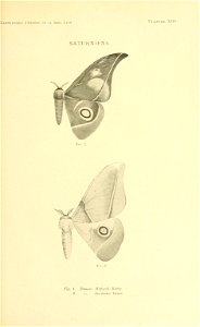 n146_w1150
