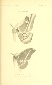 n142_w1150