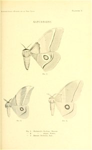n134_w1150