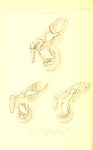 n177_w1150