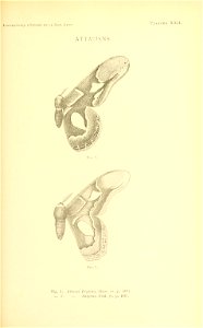 n174_w1150