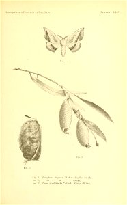 n208_w1150