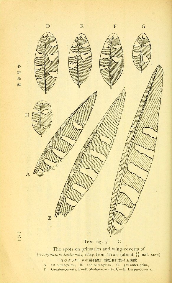 n297_w1150
