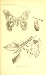 n162_w1150