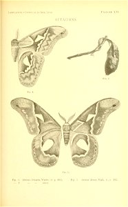 n156_w1150