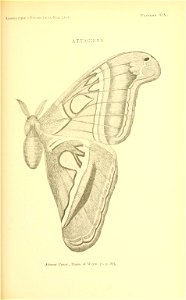 n150_w1150