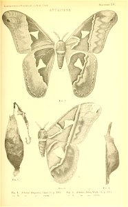 n152_w1150