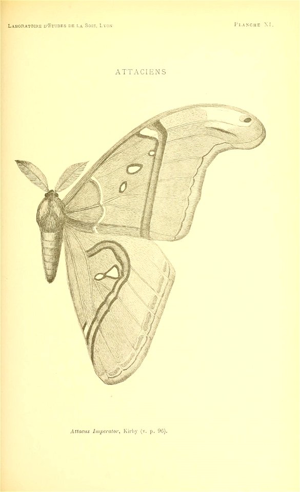 n140_w1150