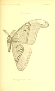 n140_w1150