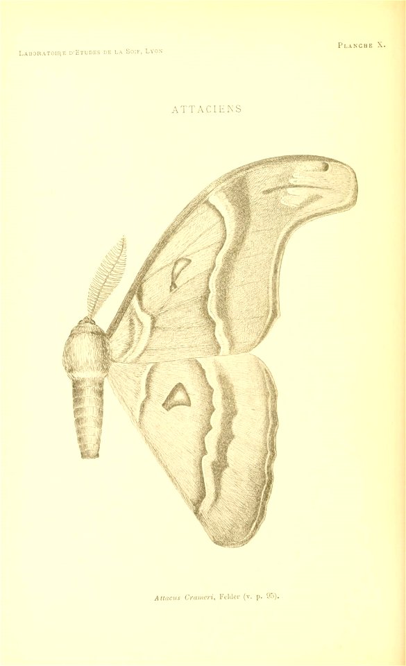 n135_w1150