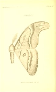 n135_w1150